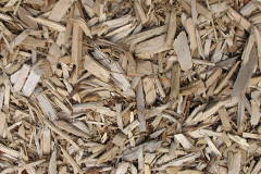 biomass boilers The Sands