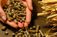 free The Sands biomass boiler quotes